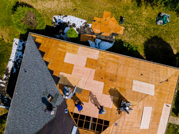 Best Roof Gutter Cleaning  in East Falmouth, MA